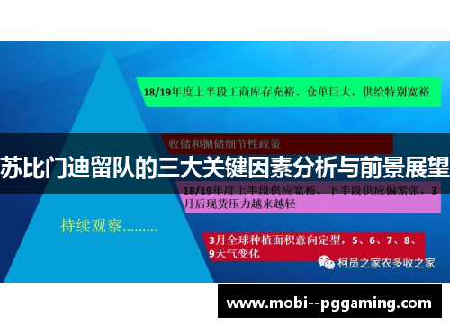 苏比门迪留队的三大关键因素分析与前景展望