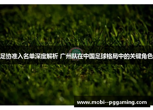 足协准入名单深度解析 广州队在中国足球格局中的关键角色