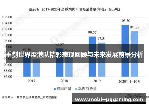 重剑世界盃港队精彩表现回顾与未来发展前景分析